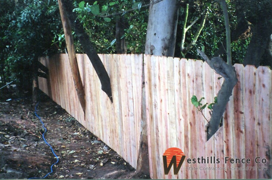 Dogear butted board and cut around tree